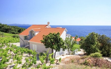 Apartments Marketa Dingač Trstenik