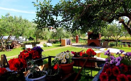 Apartments Štefa Privlaka