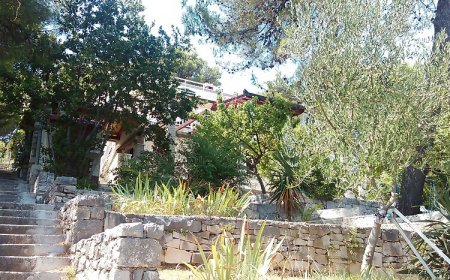 Apartmani Dino Splitska