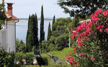 Apartmanok A Tenger Mellett Dramalj, Crikvenica - 2387 Dramalj