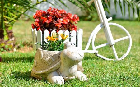 Apartmanok Családok Részére Medencével Drage, Biograd - 5904 Drage