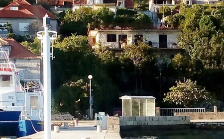 Apartment Ljilja Kuciste