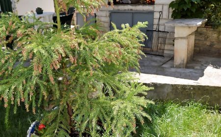 Apartmanok A Tenger Mellett Marina, Trogir - 10238 Marina