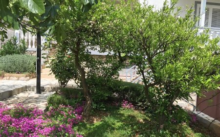 Apartment Vinko Starigrad Paklenica