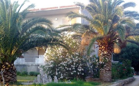 Apartmanok Parkolóhellyel Banjol, Rab - 15463 Banjol