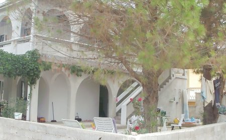 Apartmani Holjevac Vir