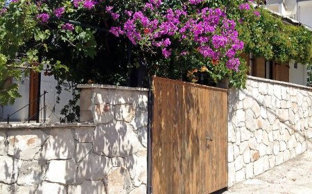 Apartment Milivoj Primosten