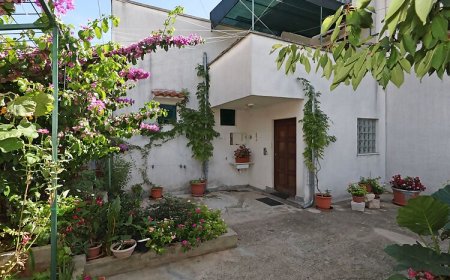 Apartments Anita summer Vodice