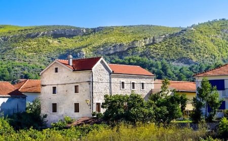 Apartment Nenad Jelsa