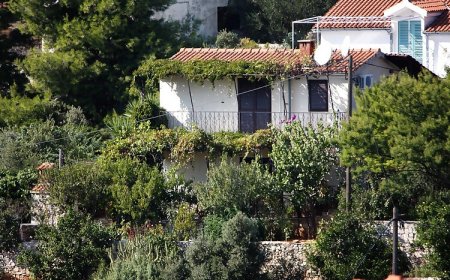 Apartmanok Parkolóhellyel Maslinica, Solta - 5176 Maslinica