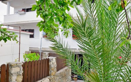 Apartments Mladen Lopar