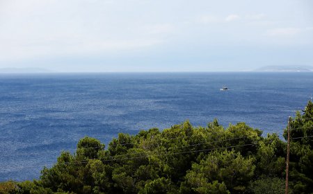 Apartments Stipe Mali rat