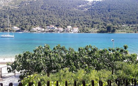 Apartmanok és Szobák A Tenger Mellett Grebastica, Sibenik - 13942 Grebaštica