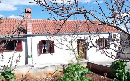 Apartmanok Parkolóhellyel Savar, Dugi Otok - 12762 Savar