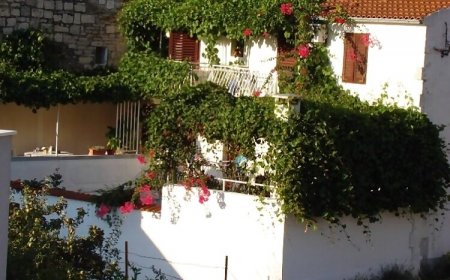 Apartments Vesna Vis