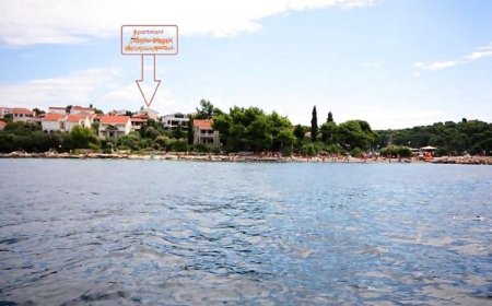 Apartmani ZB Maslinica