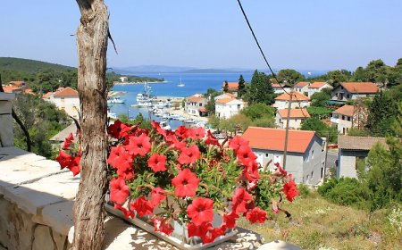 Apartmanok Nyaraláshoz Zman, Dugi Otok - 887 Žman