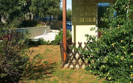 Apartmani Kate Murter