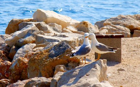 Apartments Ban Dugi Rat