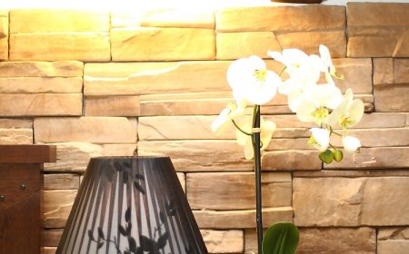 Apartmanok Parkolóhellyel Orebic, Peljesac - 10251 Orebić