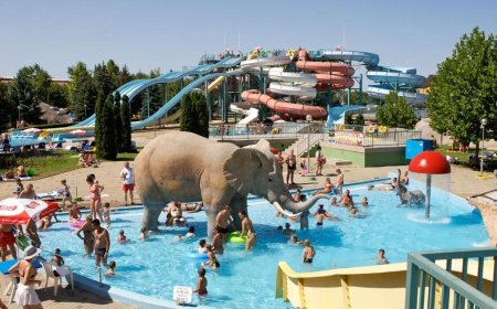 Beach and Spa Hajdúszoboszló