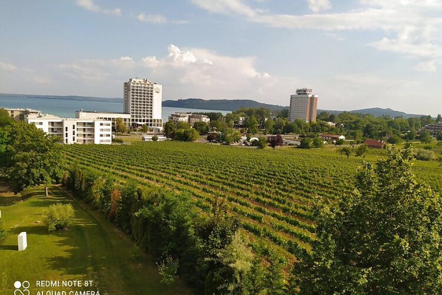 Sunset Hill Füred Apartman Balatonfüred