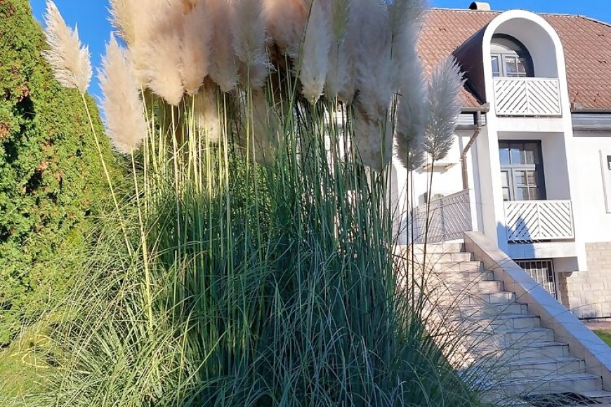 Napfény Villa Balatonfüred