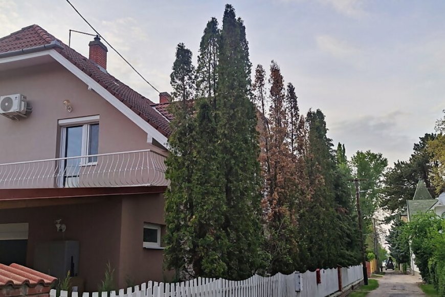 Léna Apartman Balatonlelle