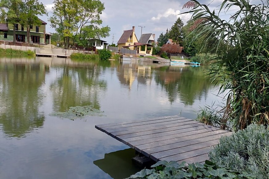 Rana Verde Zöld Béka Vendégház Békésszentandrás