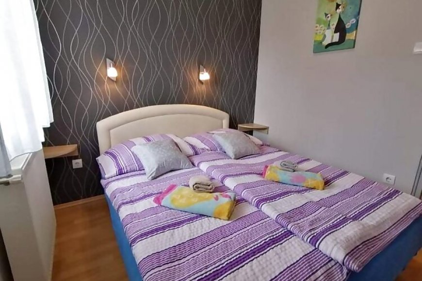 Zöld Béka Apartmanok Kölcsey I. Hajdúszoboszló