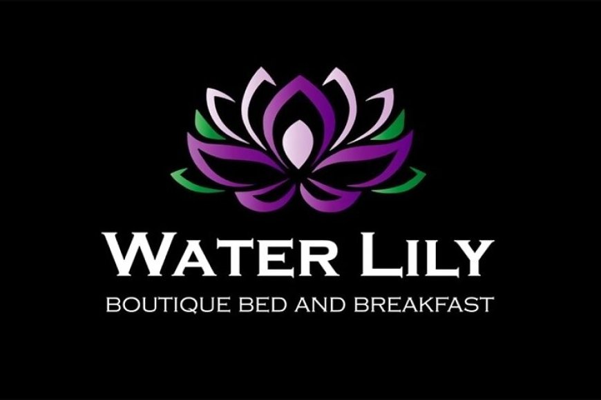 Water Lily Boutique B&B Hévíz