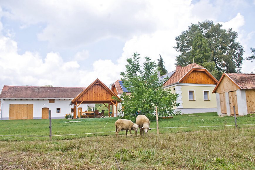 Harmatcsepp Vendégház Kercaszomor