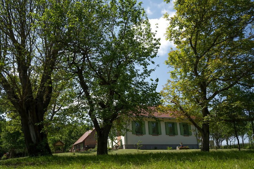 Pomper Porta Vendégház Kisrákos