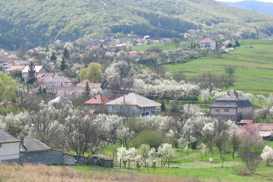 Papréte Vendégház Mályinka