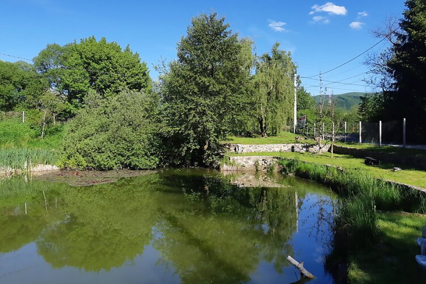 Fónagy Vendégház Nagyvisnyó