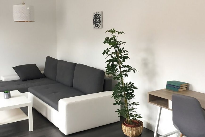 Rozmaring Apartman Pécs