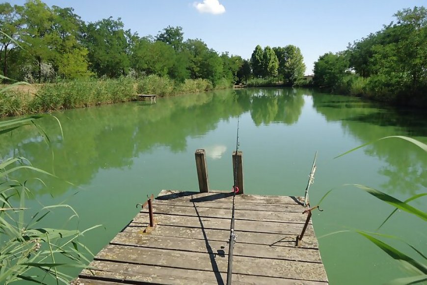 Clubhaus am See In der Ungarischen Pusta