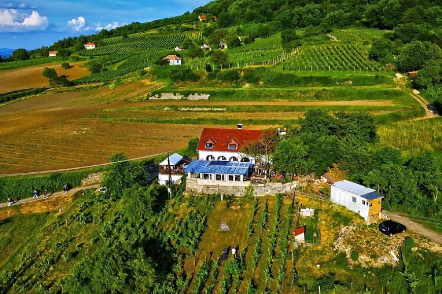 Inhauser Pincészet & Guesthouse Somlószőlős