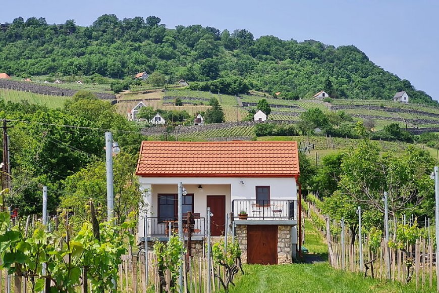 Jera Pince és Vendégház Somlóvásárhely