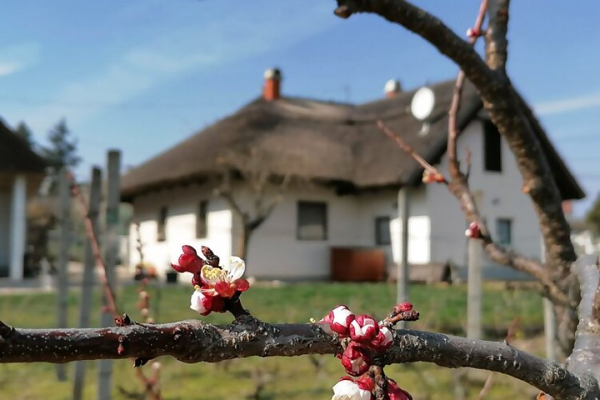 Angelic Cottage Vendégház Sukoró