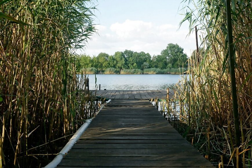 Kis Tisza Horgász Vendégház Tiszaug