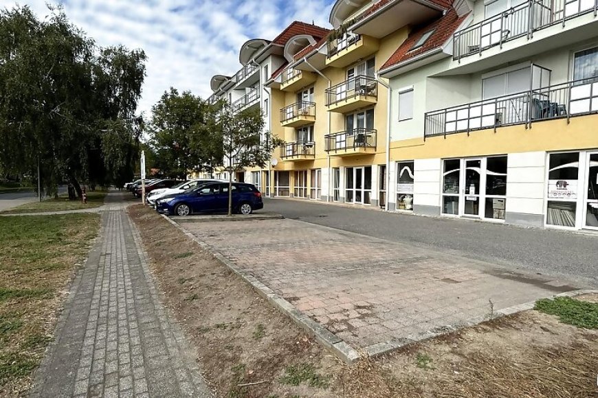 Dani Wellness Apartman Zalakaros