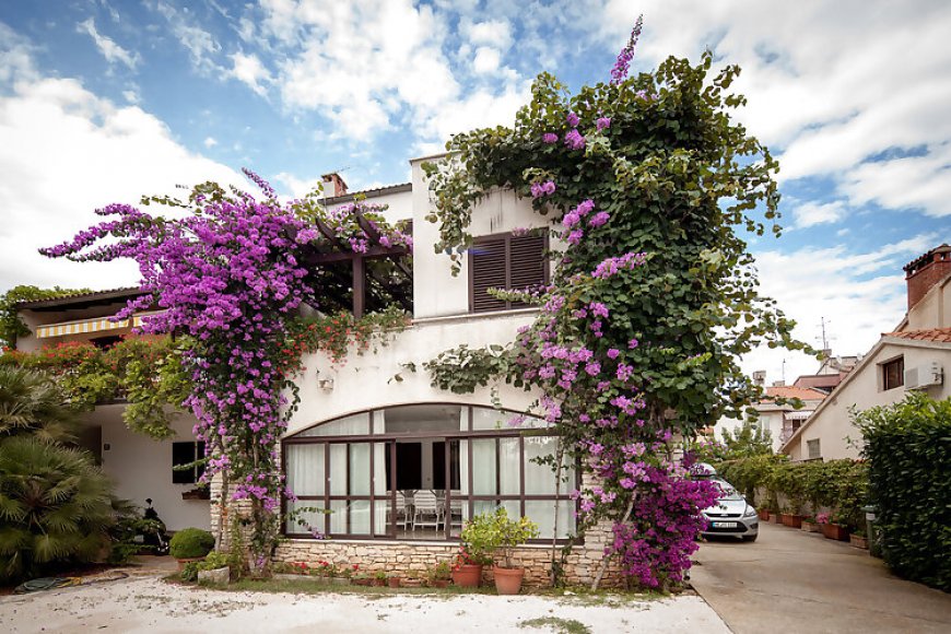 Apartments Nadia Rovinj