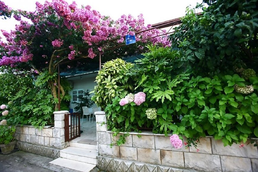 Apartmanok A Tenger Mellett Loviste, Peljesac - 15150 Lovište