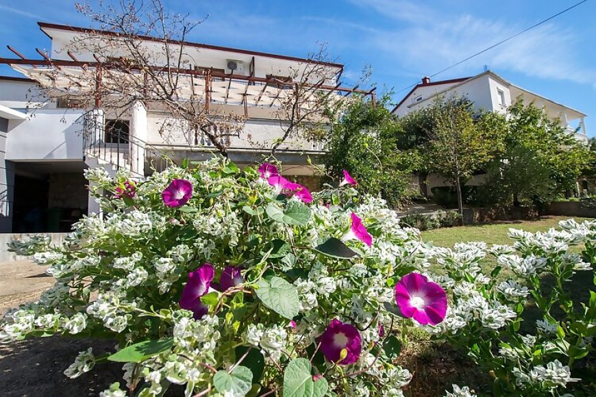 Apartments Šimić-with beautiful view Starigrad Paklenica