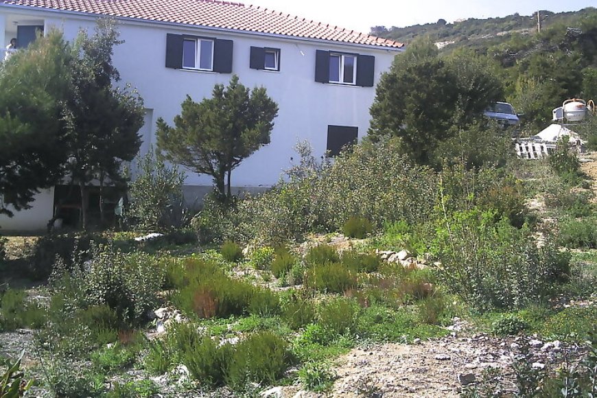 Villa Ruza Vis