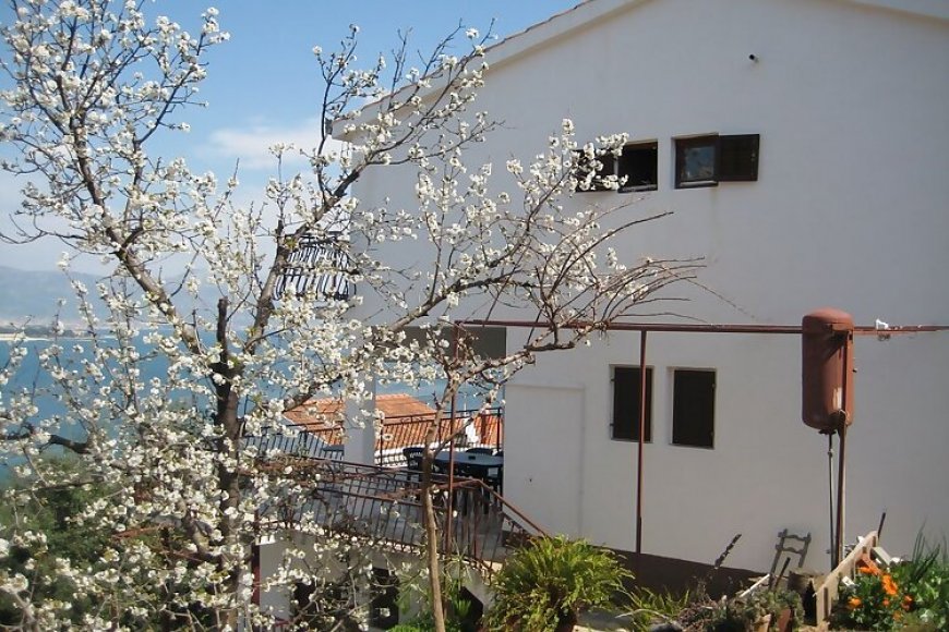 Apartman Petar Trogir