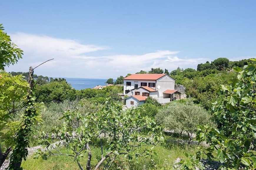 Apartmanok Internet Hozzáféréssel Veli Losinj, Losinj - 19799 Veli Lošinj