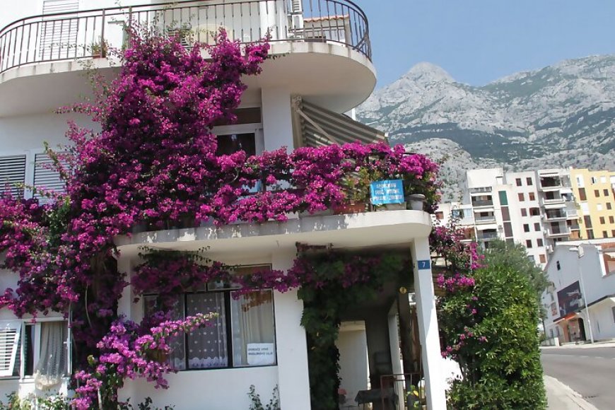 Apartments Centar Makarska