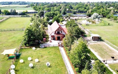 Bella Állatpark Siófok